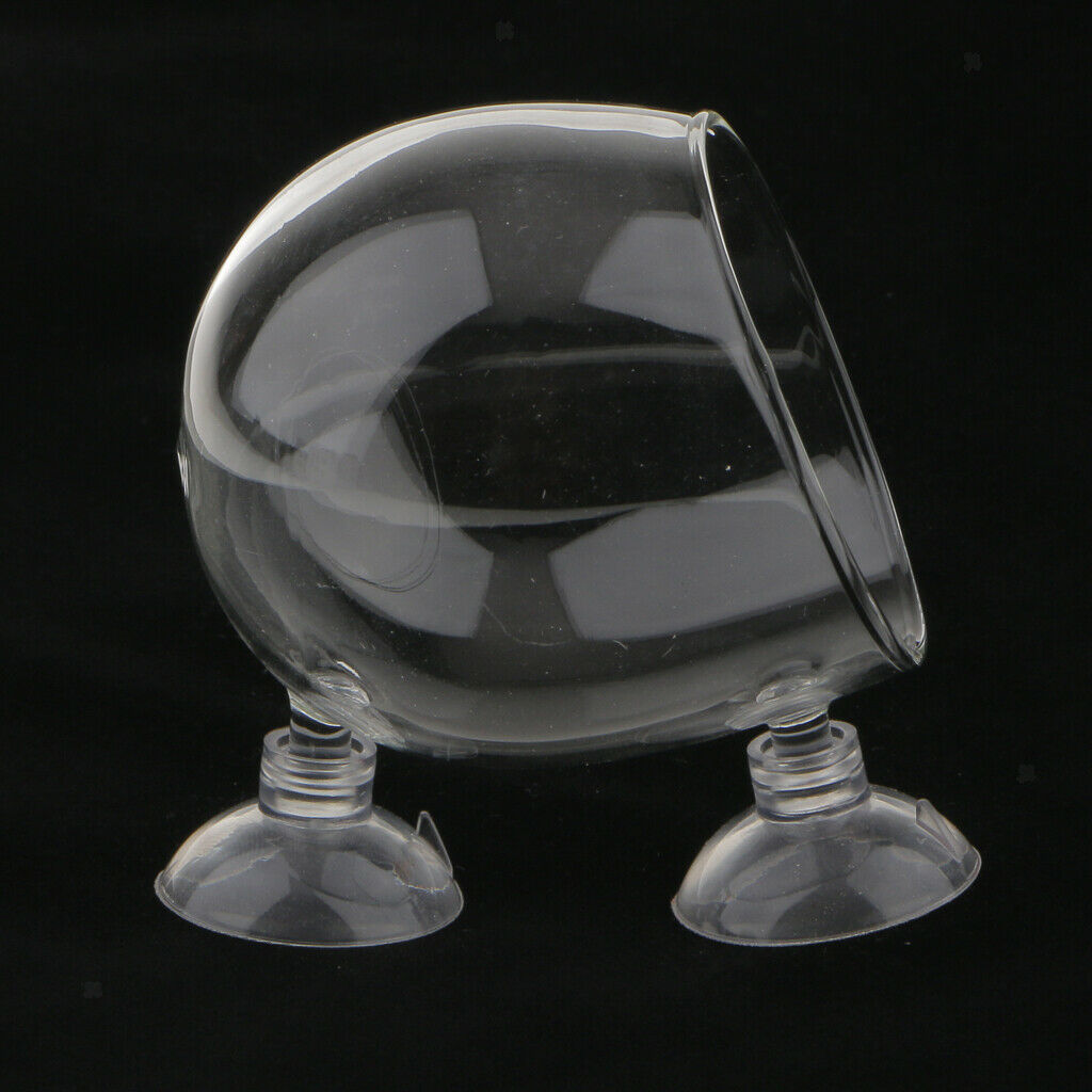 Set of 2, Aquatic Plant Clear Glass Cup Pot Aquarium Fish Tank Plant Holder