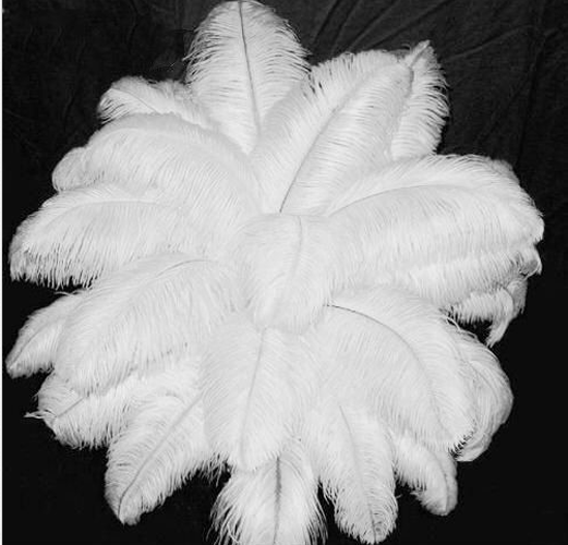 Wholesale quality 8-10inch/20-25cm High Quality Natural OSTRICH FEATHERS