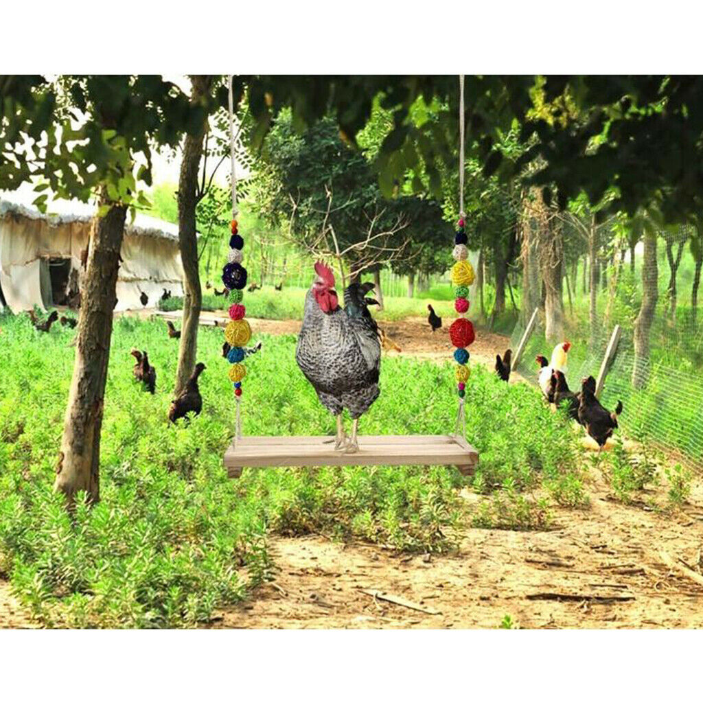 Chicken Swing Perch for Chicken Hens Large Birds Macaws Finches Parakeet