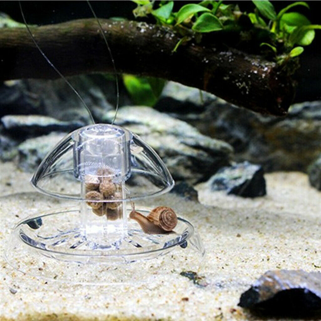 Acrylic Snail Trap Worm Pest Catcher Practical for Aquarium Shrimp Tanks