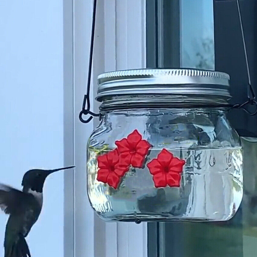 Hanging Feeder Glass Bottle Hummingbird Feeder Flowered Mason Jar Feeding Ports