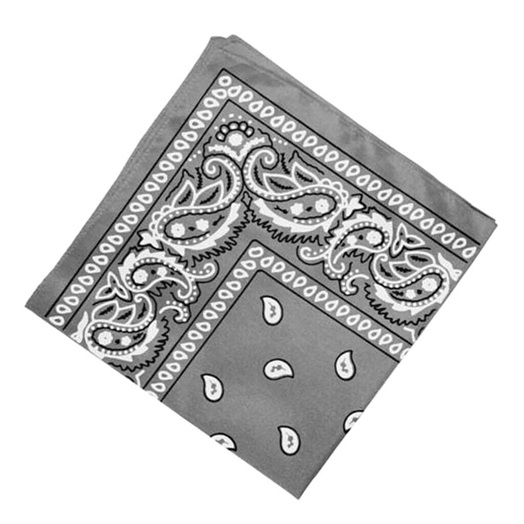 2Pcs Women Men Cotton Paisley Print Paisley Bandana Head Wrap Neck Hair Band