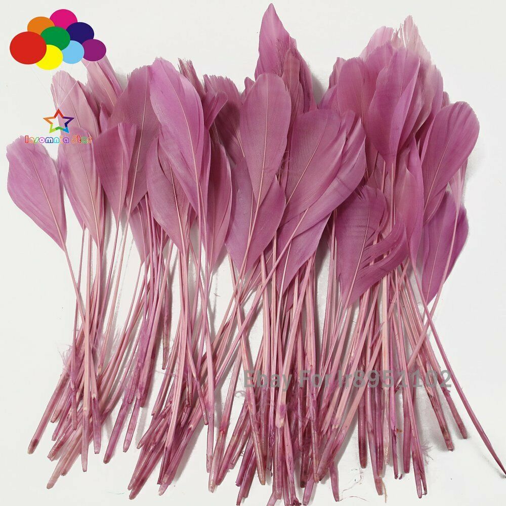 Pale Pink 100pcs 6-8inch Pink Stripped Feathers Stripped Coque Tail Feathers