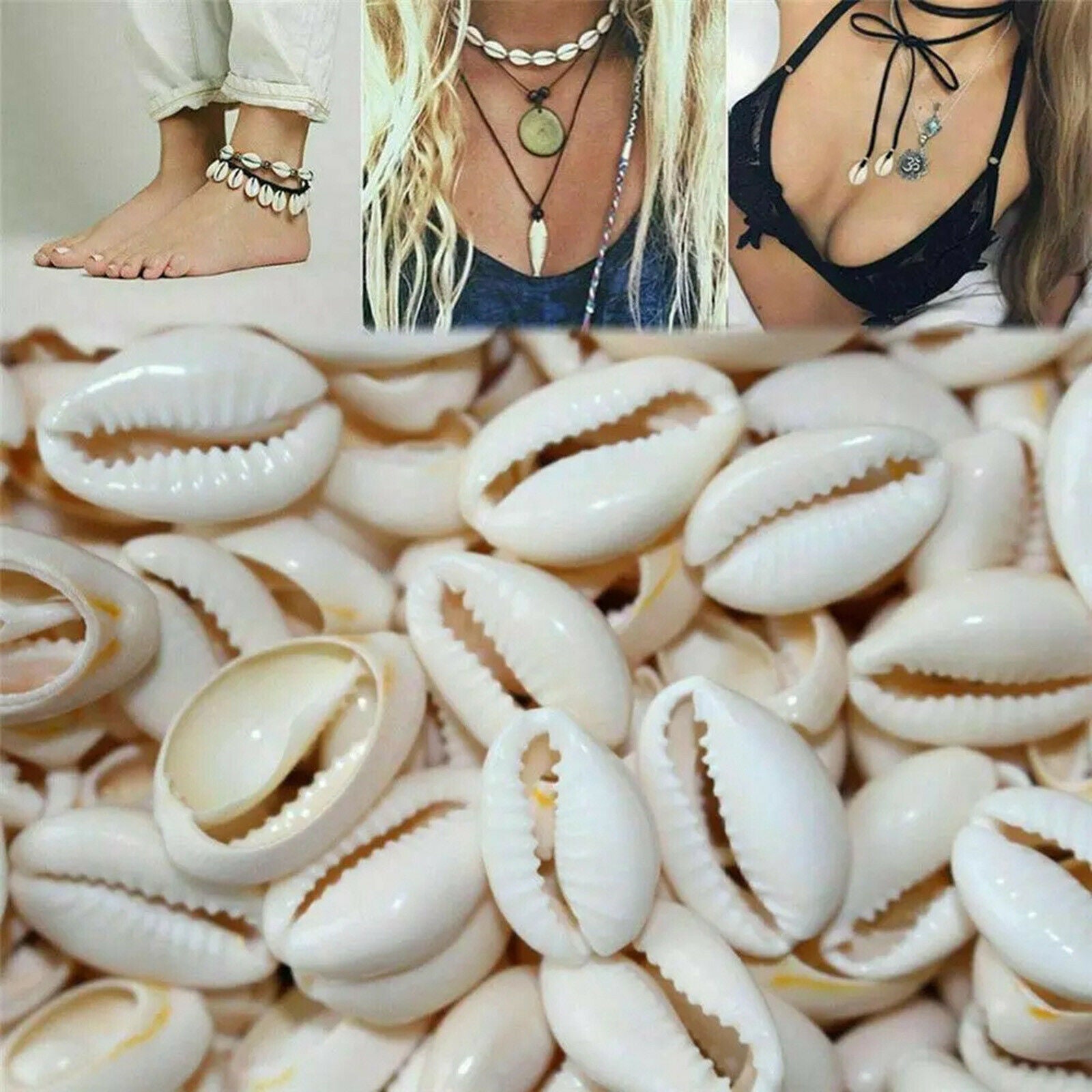 Sea Shell Natural Conch Shells Beach Seashells for Fishes Tank Aquarium
