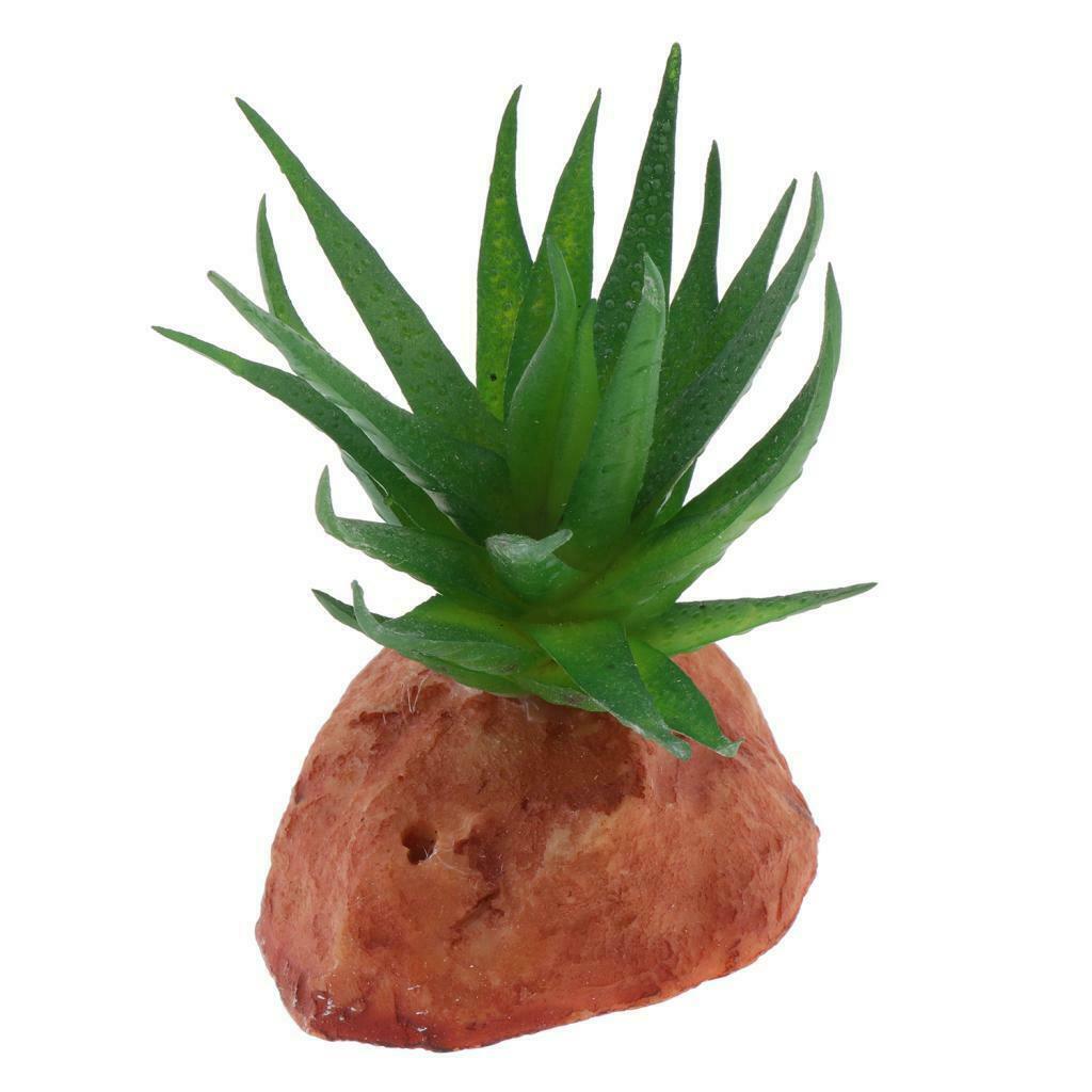 Aquarium Fish Tank Landscaping Plants Ornaments Reptile Hideaway Hide Cave