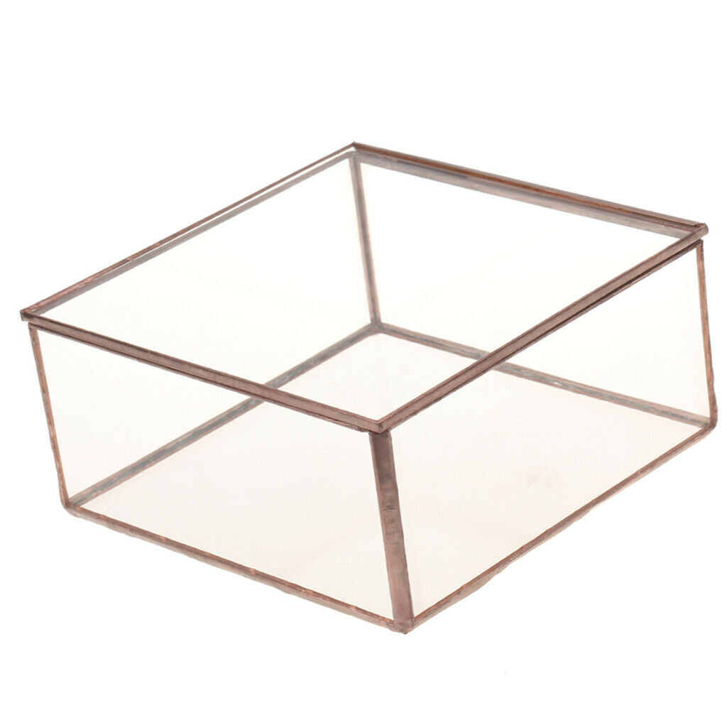 Geometric Glass Jewelry Box Tabletop Terrarium Plant Succulent Planter Box L