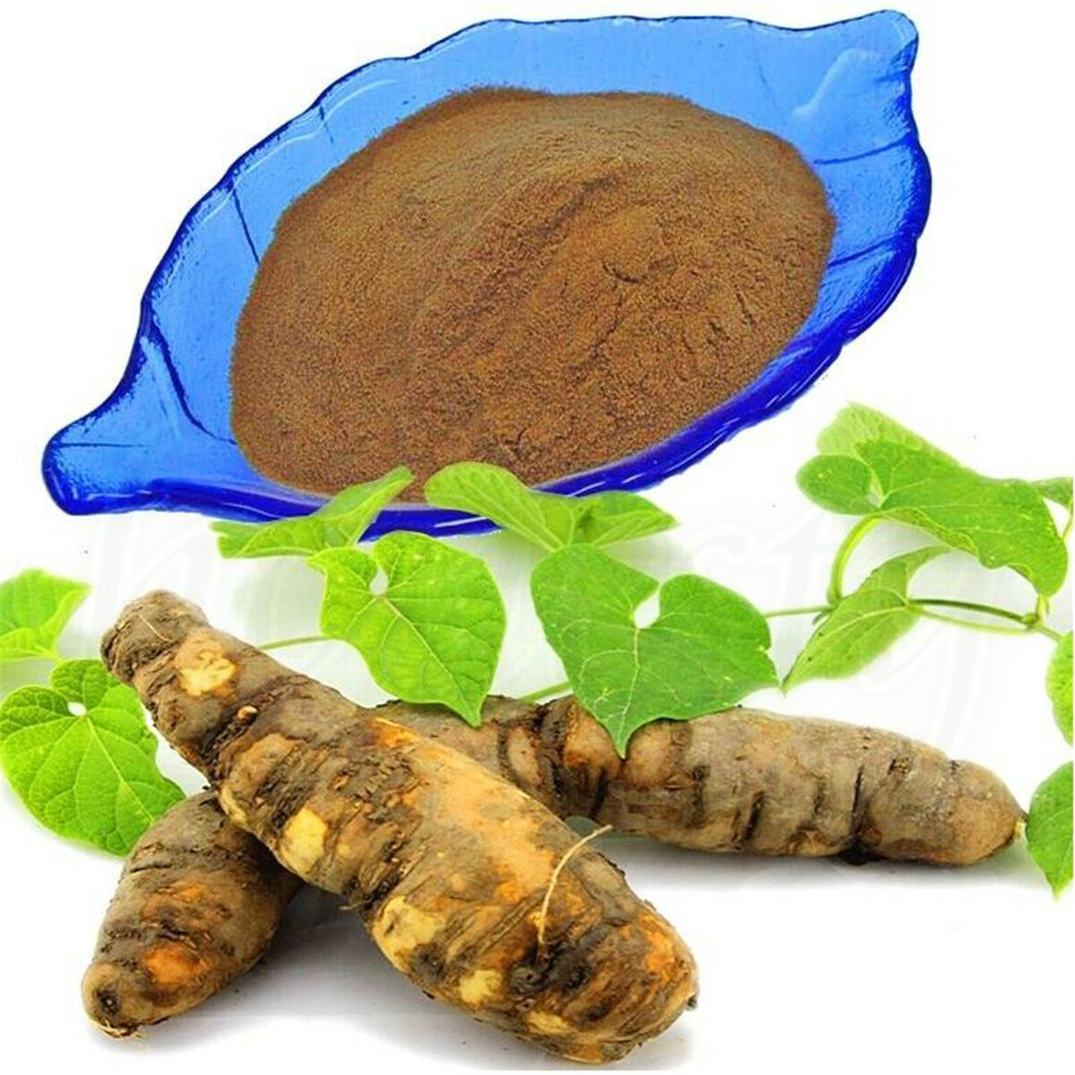 1oz(=28g) Prepared Fo-Ti root He Shou Wu Polygonum Pure Natural Plant Powder