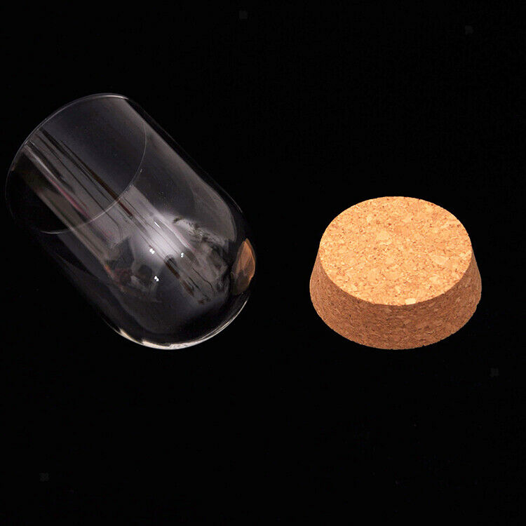 Hemisphere Clear  Cork Cover Decorative Objects