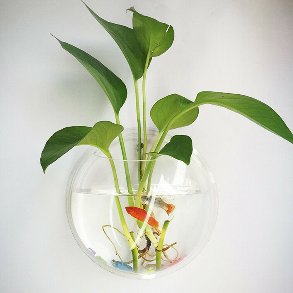 19.5cm Wall Mounted Hanging Fish Bowl Home Ornaments Tank Plant Flower Pot Vase