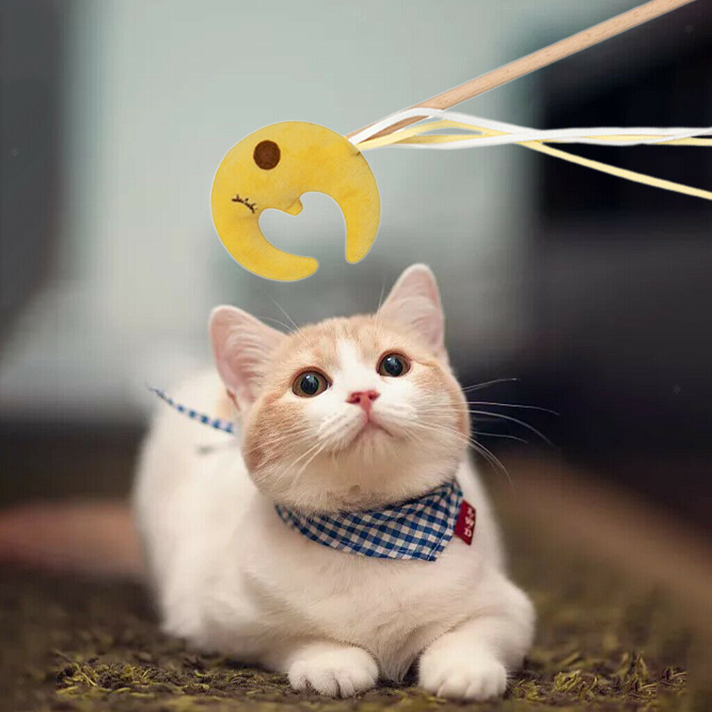 Cat Stick Toys Kitten Pet Interactive Wand Starry Sky Ribbon String Toys Moon