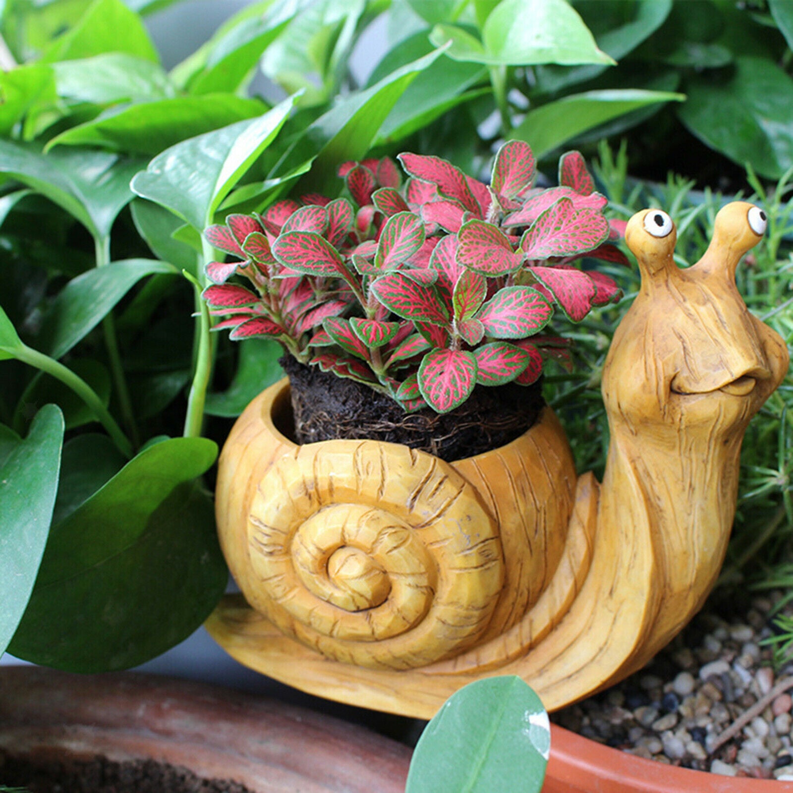 Succulent Flower Pot with Drainage Snails Garden Planter Cactus Holder
