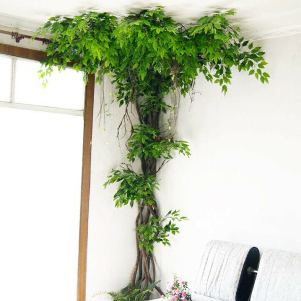 Bunch of Natural Plants Dried Rattan Vine for Wedding Home