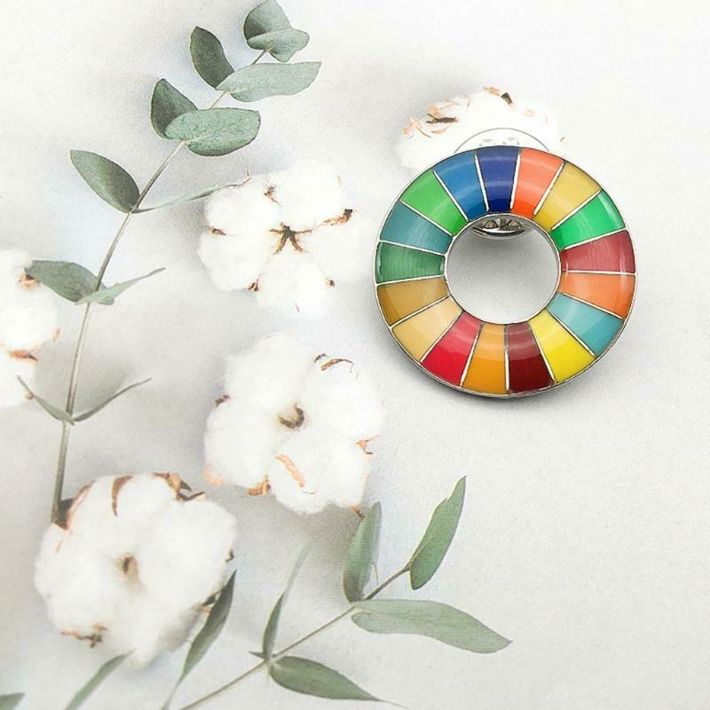 Sustainable Development Goals (SDG) Badge Rainbow Badge Gift for Women Men