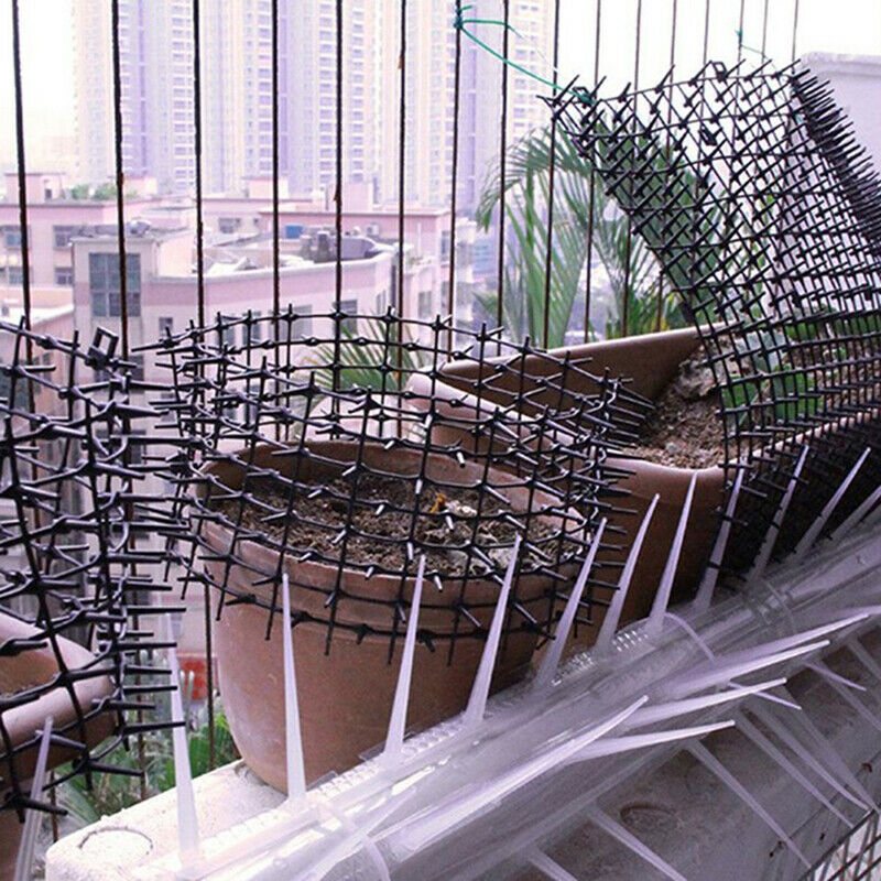 3pcs Plastic Bird Pigeon Spikes Anti Bird Pigeon Spike Scare Pest Control GaDD