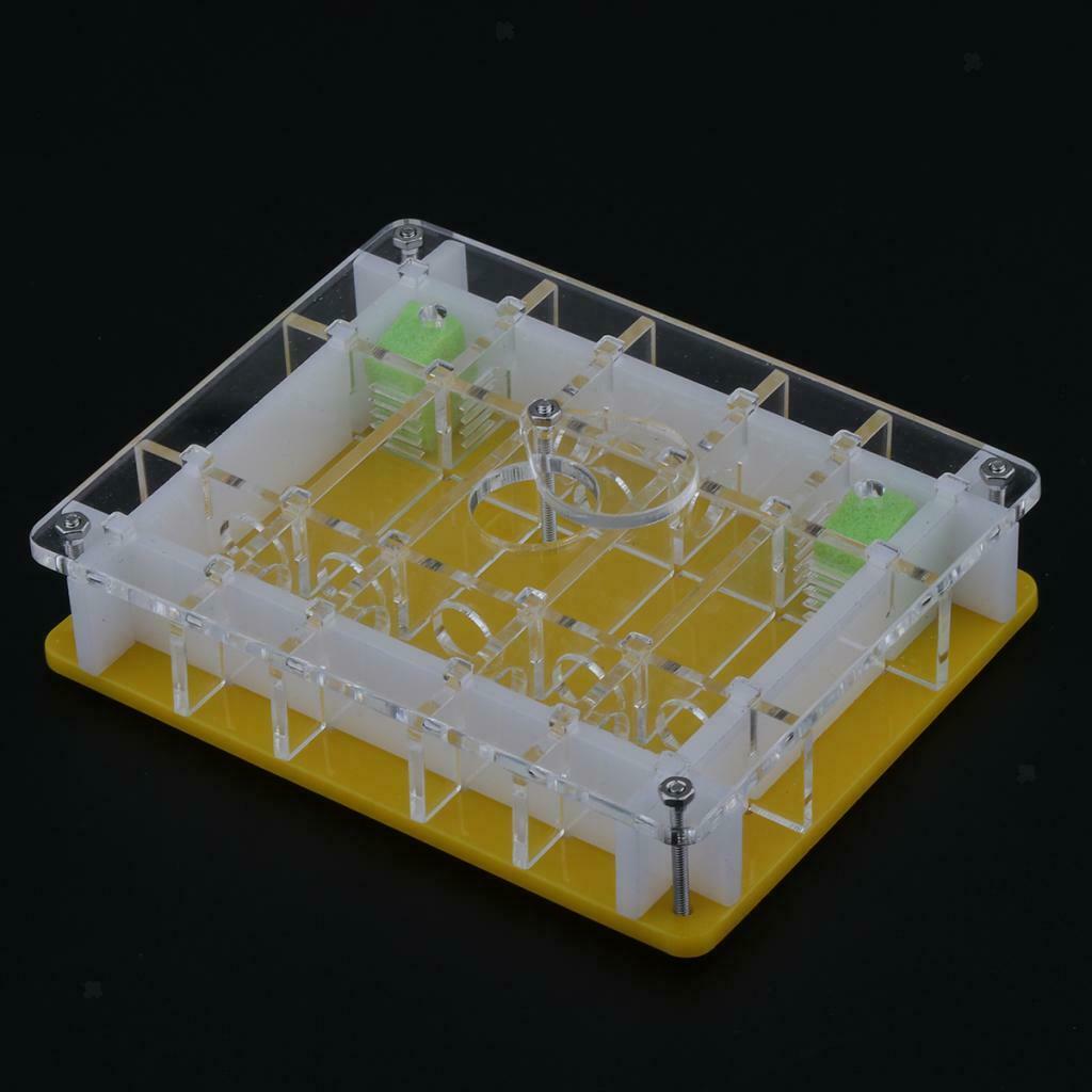 2pcs/set Ant Housing Nest Insect Cage Educational Formicarium for Live Ants
