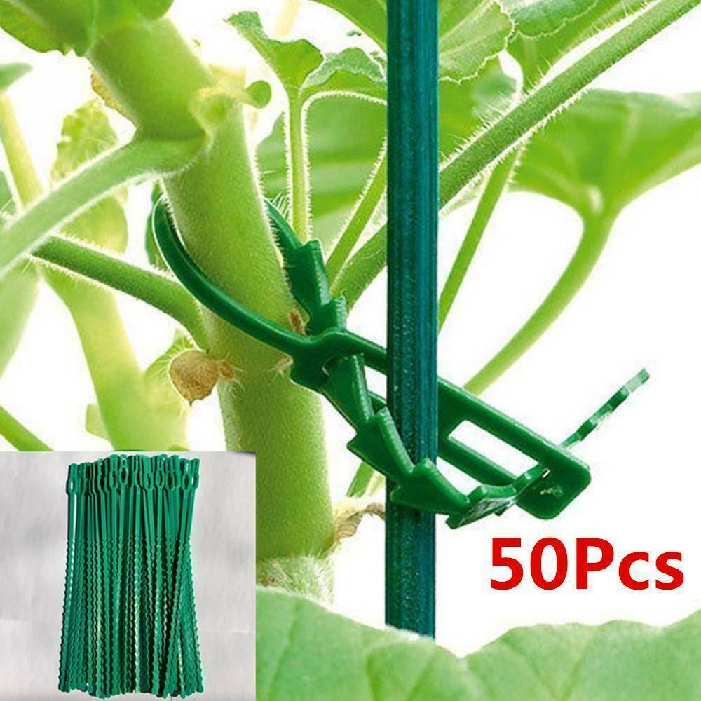 50x Gardening Plants Cable Ties Bracket PlasticTap Bonsai Flower Vine Bandage AU