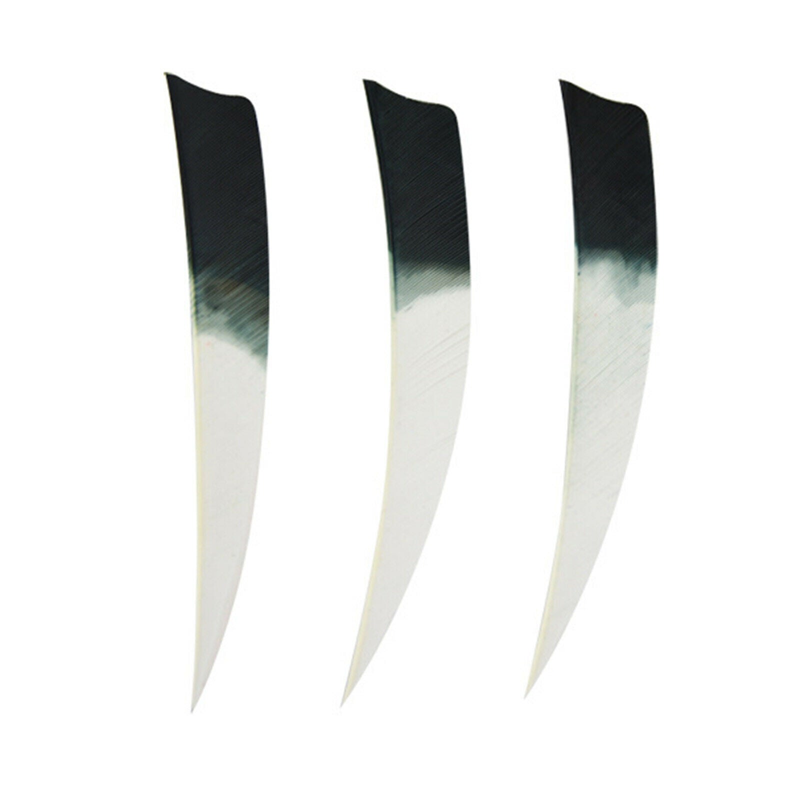 50PCS 5" Archery Arrow Fletches Feathers Turkey Fletching Right Wings Shield CA