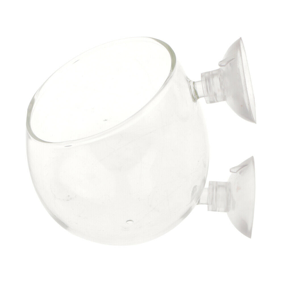 Clear Plants Plants Holder Aquarium Aquascaping For Tank Planted Tanks