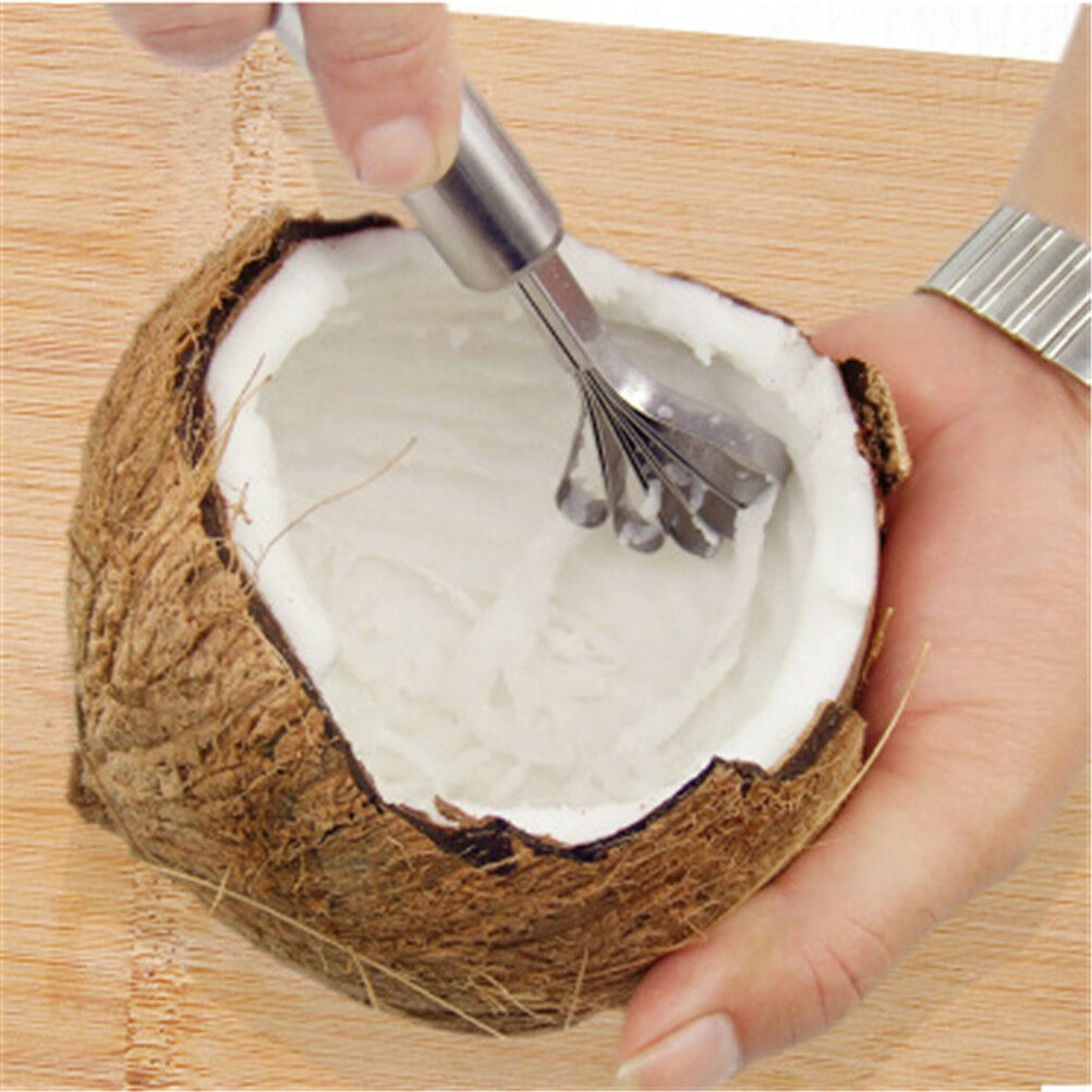 Stainless Steel Coconut Shaver Kitchen Fish Clean Scales Fruit Vegetable .l8