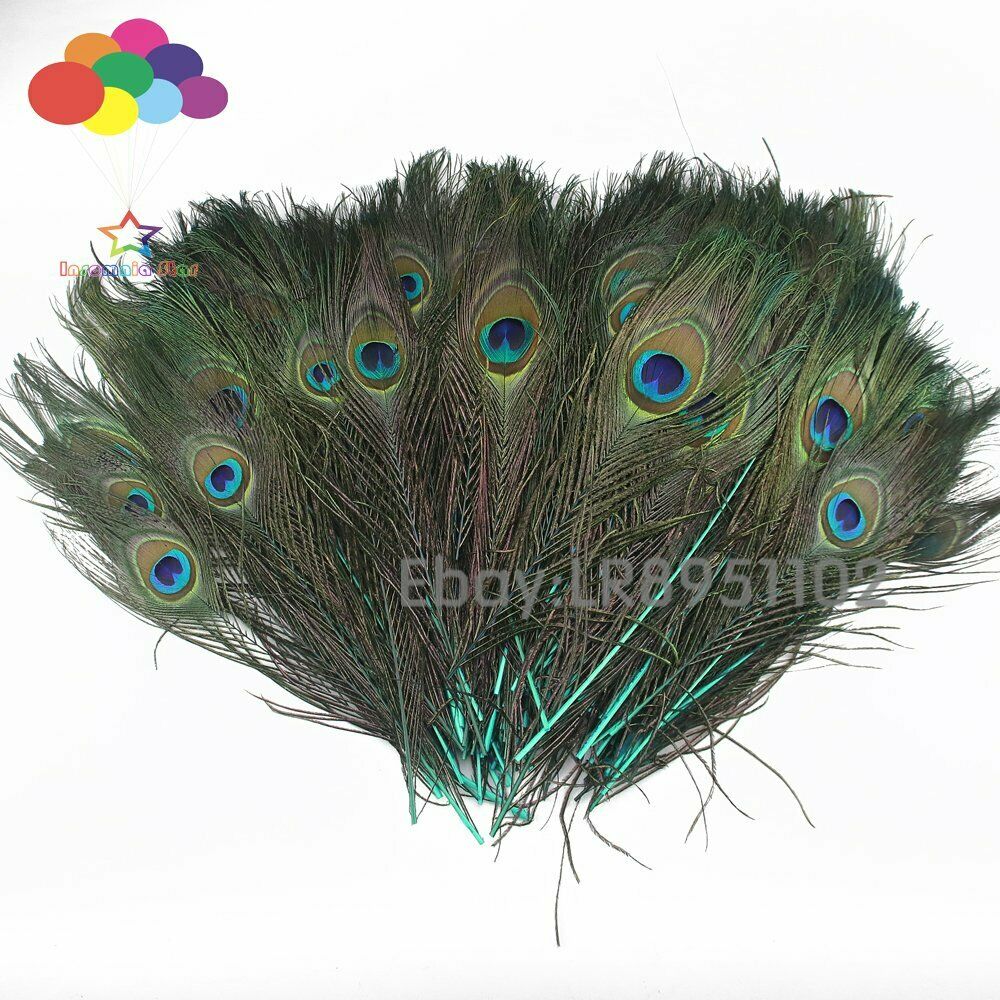 100 Pcs mint 25-30 cm Gifts Peacock Eye Tail Feather Masquerade Decoration Party