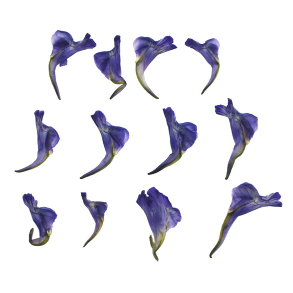 12 Pieces Of Real Dried Leaves Handmade Pressed Flower Dried Flowers For