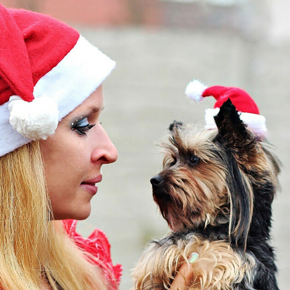 Christmas pet santa hat small puppy cat dog xmas holiday costume ornament.l8
