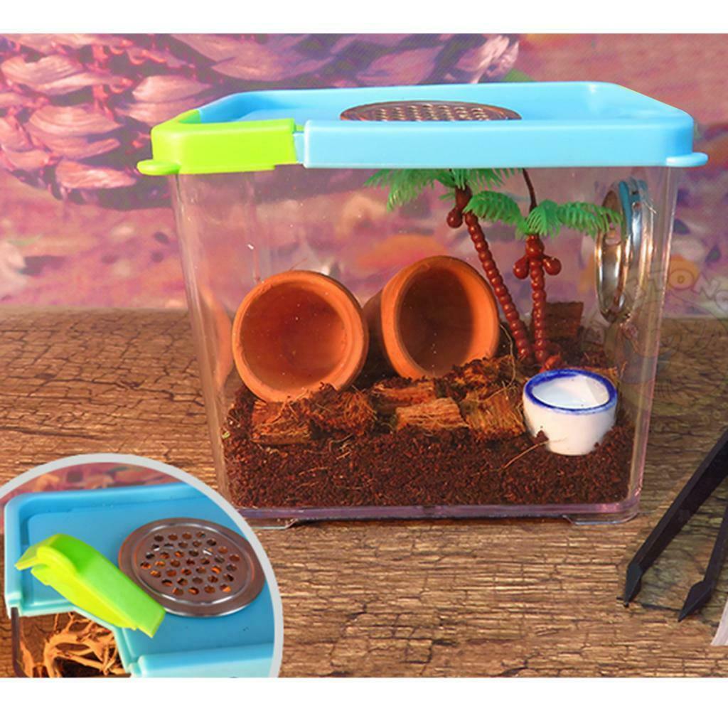 2Pcs/Set Spider Incubation Box Feeding Box for Reptile Amphibians Insects