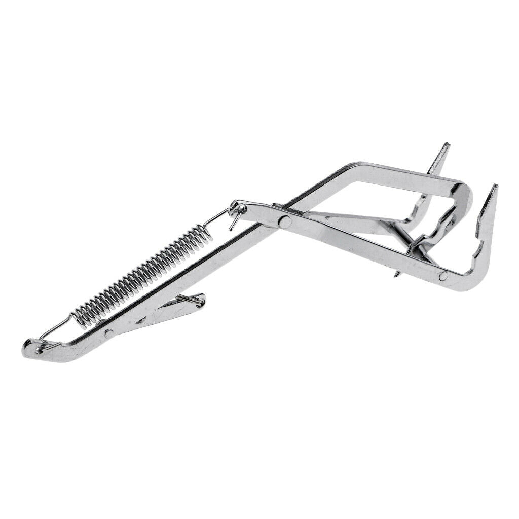 Stainless Steel Fishing Crab Clip Seafood Crab Clip for Crab Bait