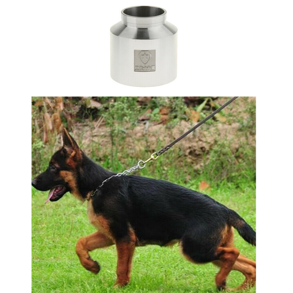 Polished Metallic Box For Odor Monitoring Of Large Or Very Large Dogs