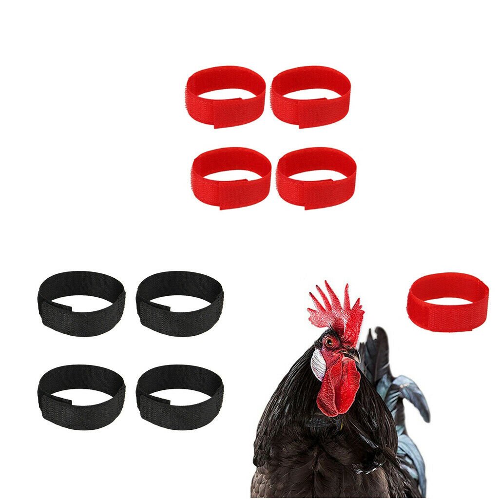 40pcs Chicken Collar Prevent Rooster from Disturbing Neighbors For Duck