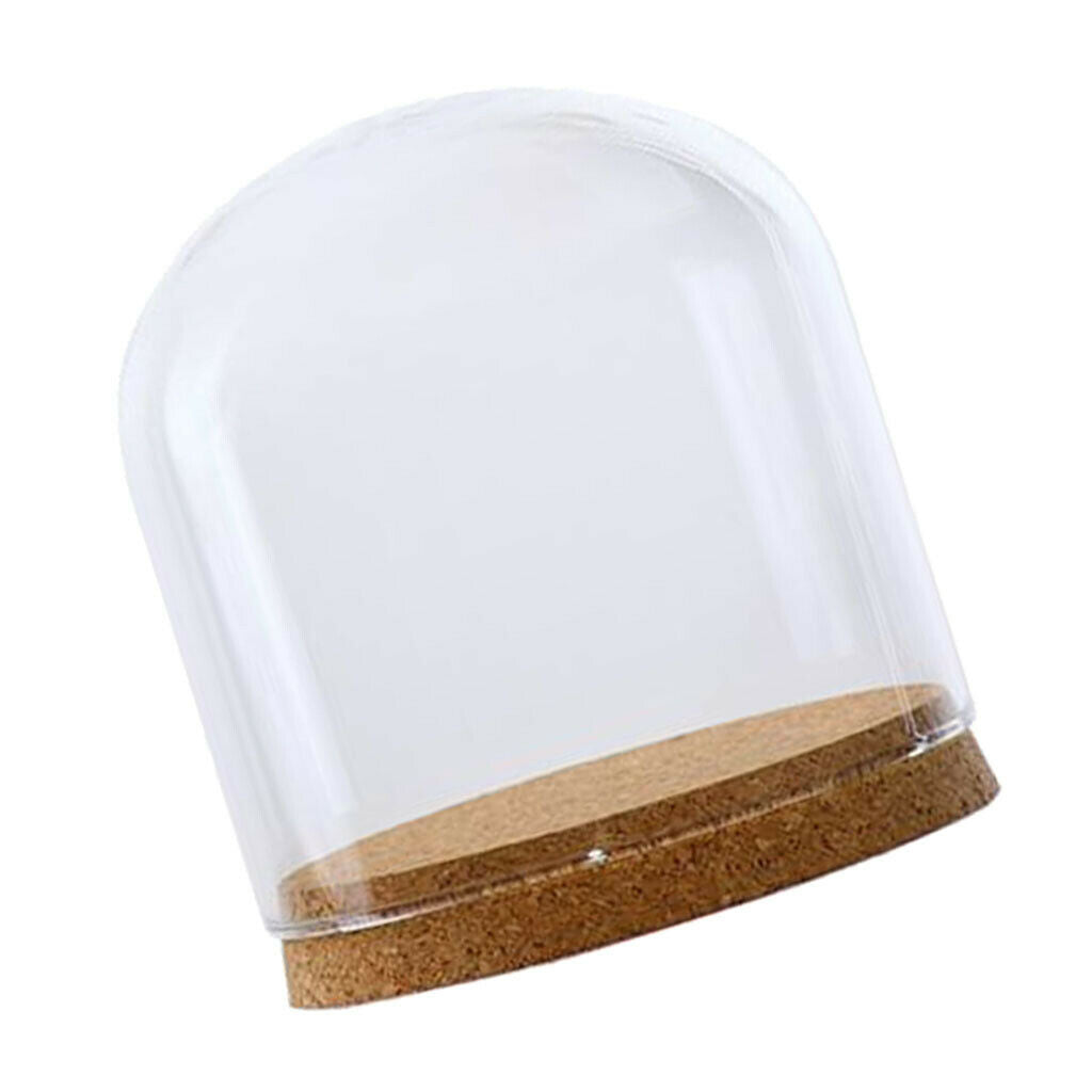 Glass Cloche Dome Cover Succulent Terrariums with Wood Cork Tabletop Decor S