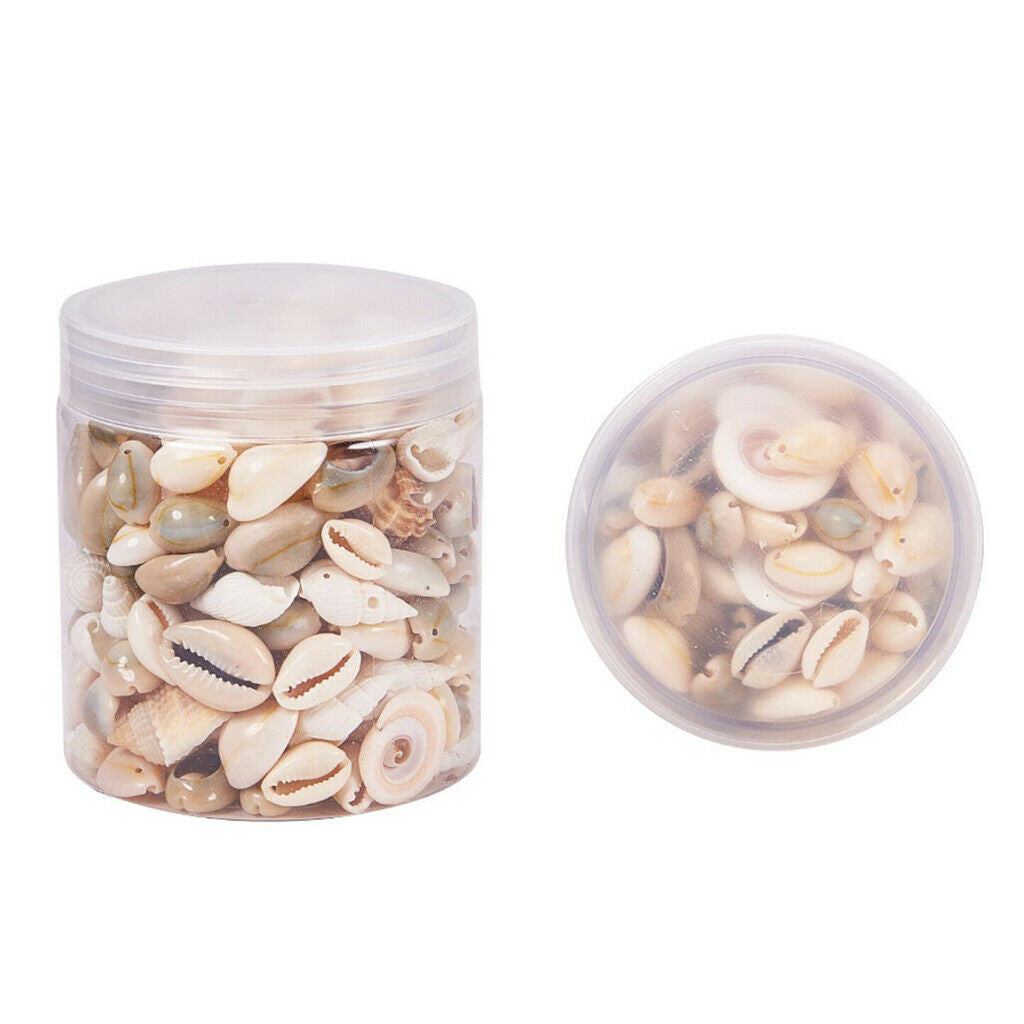 Mixed Beach Seashells Spiral Shells Conch Beads Vase Filler Jewelry Making