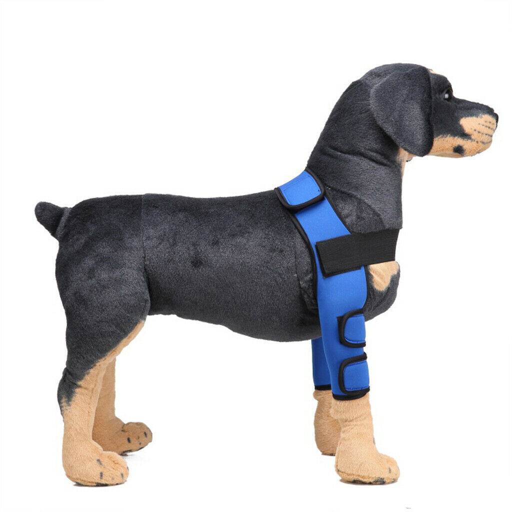 Dog knee joint support front leg compression strut protector blue - w