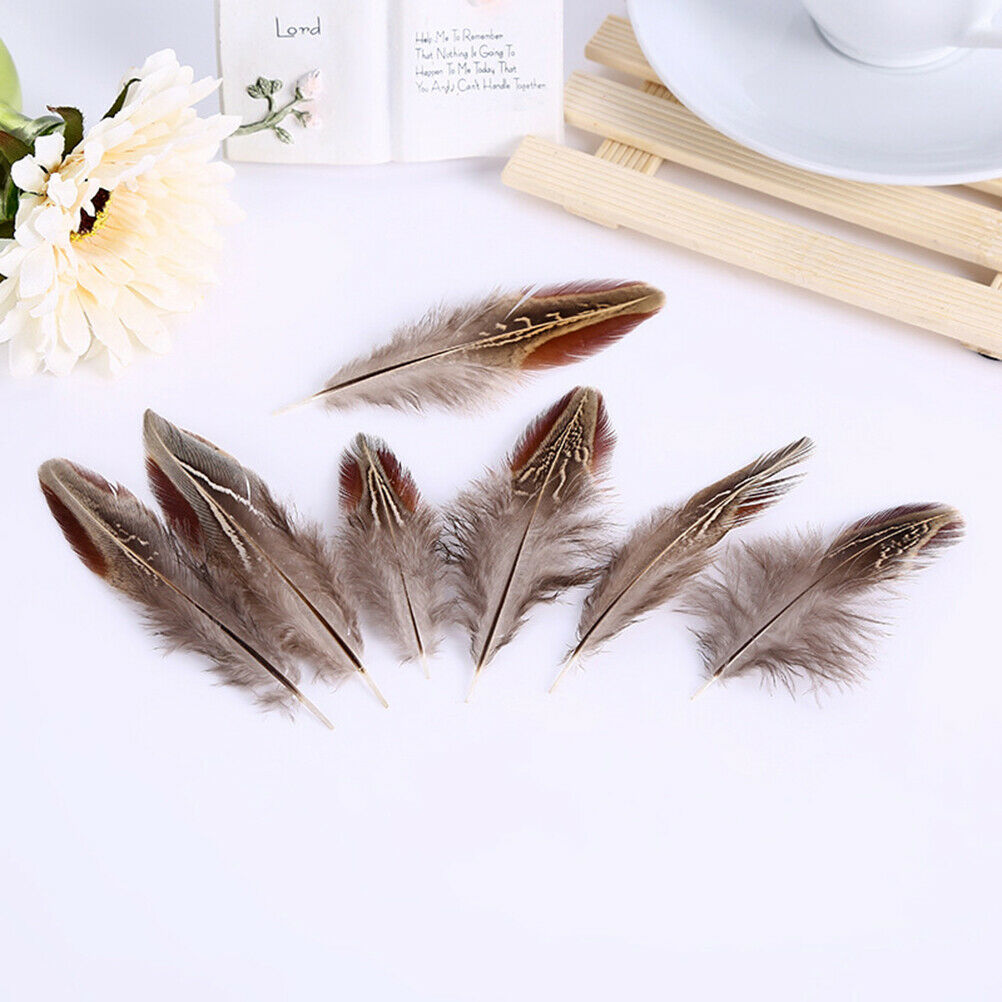 50pcs/set pheasant feathers 5-10cm chicken plumes for carnival diy craft .l8