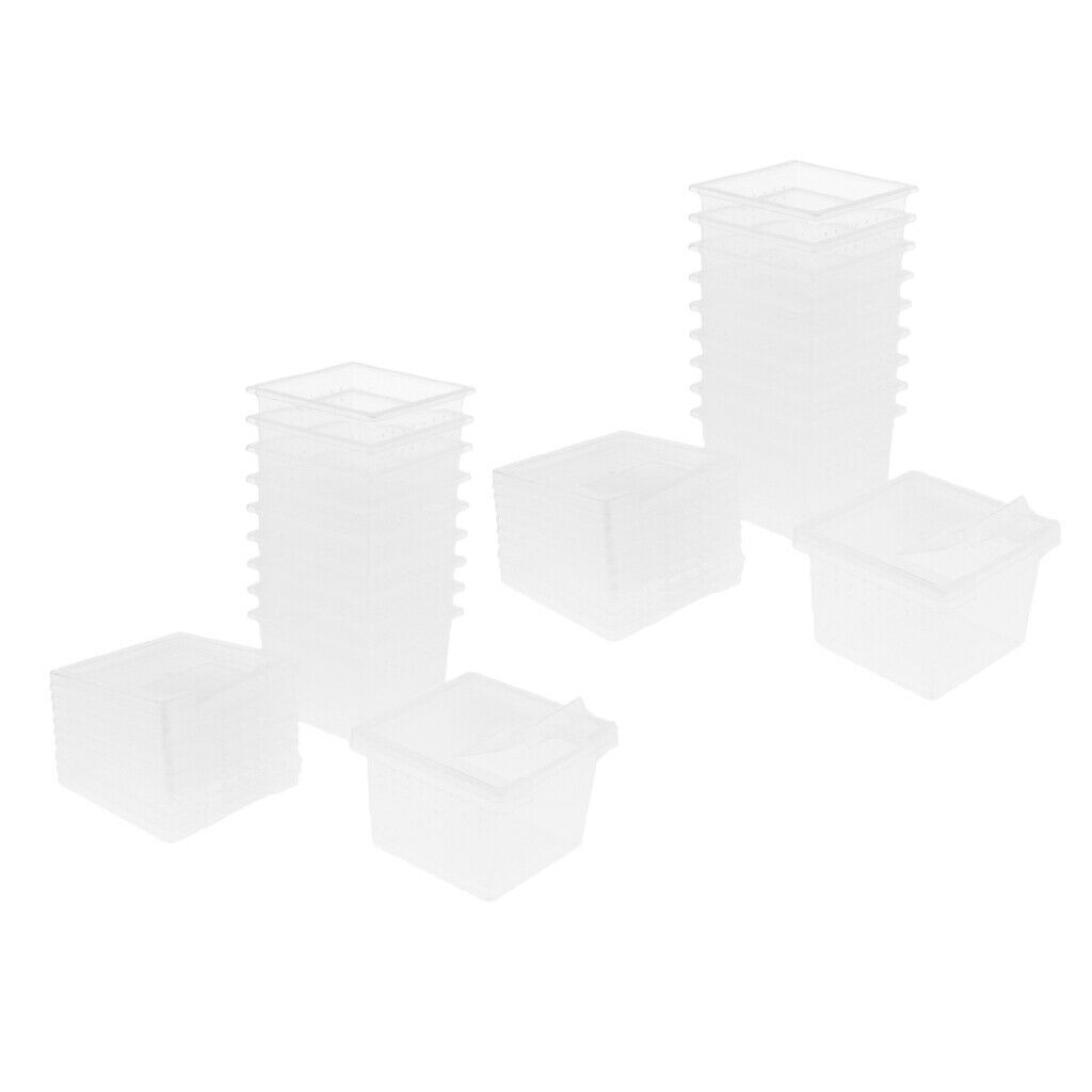20x Reptile Plastic Clear Feeding Container Vivarium Rearing Box for Raising