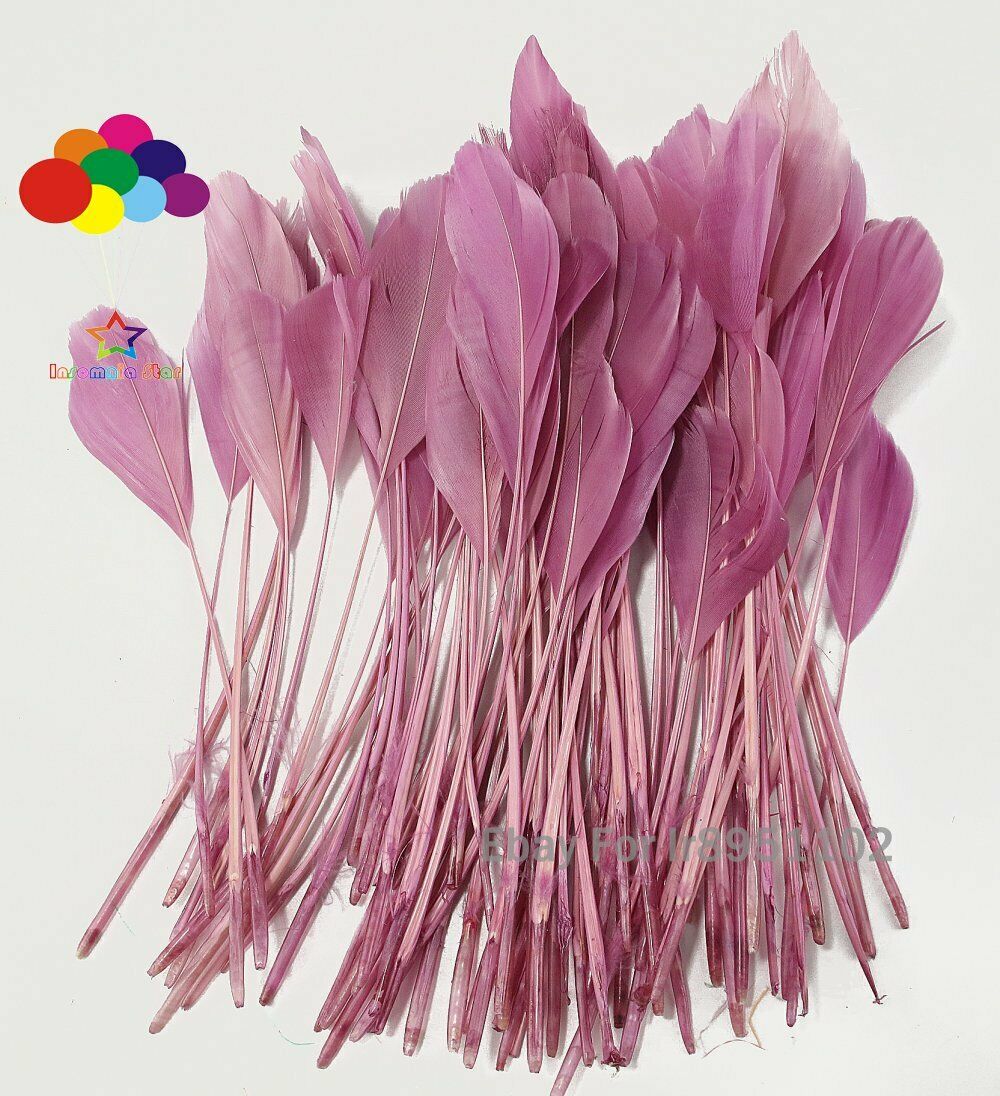 Pale Pink 100pcs 6-8inch Pink Stripped Feathers Stripped Coque Tail Feathers