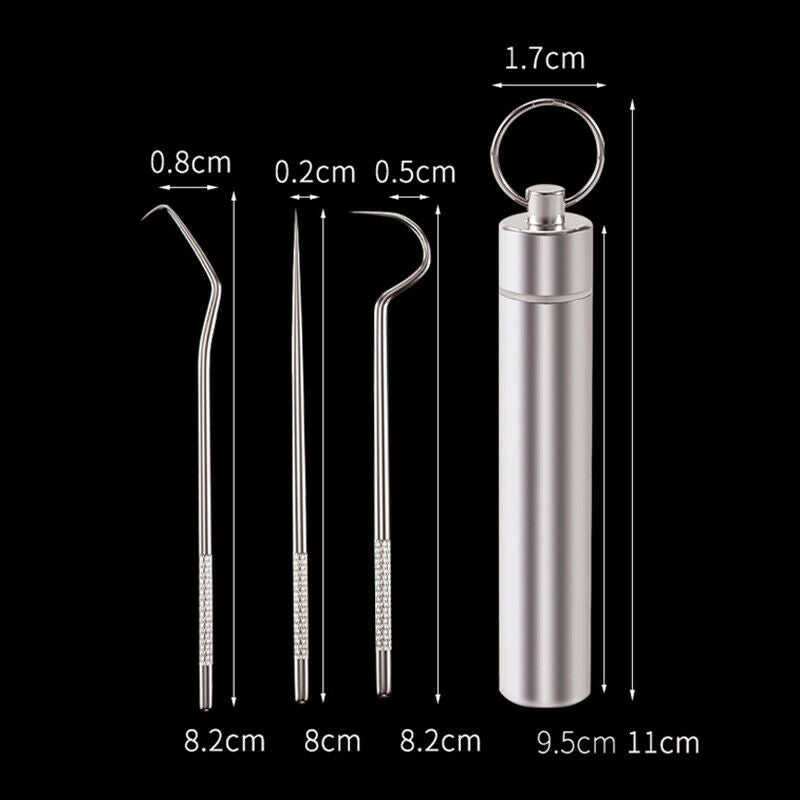 3pcs/set Stainless Steel Toothpick Oral Care Flossing Tool Portable KeychainFCA