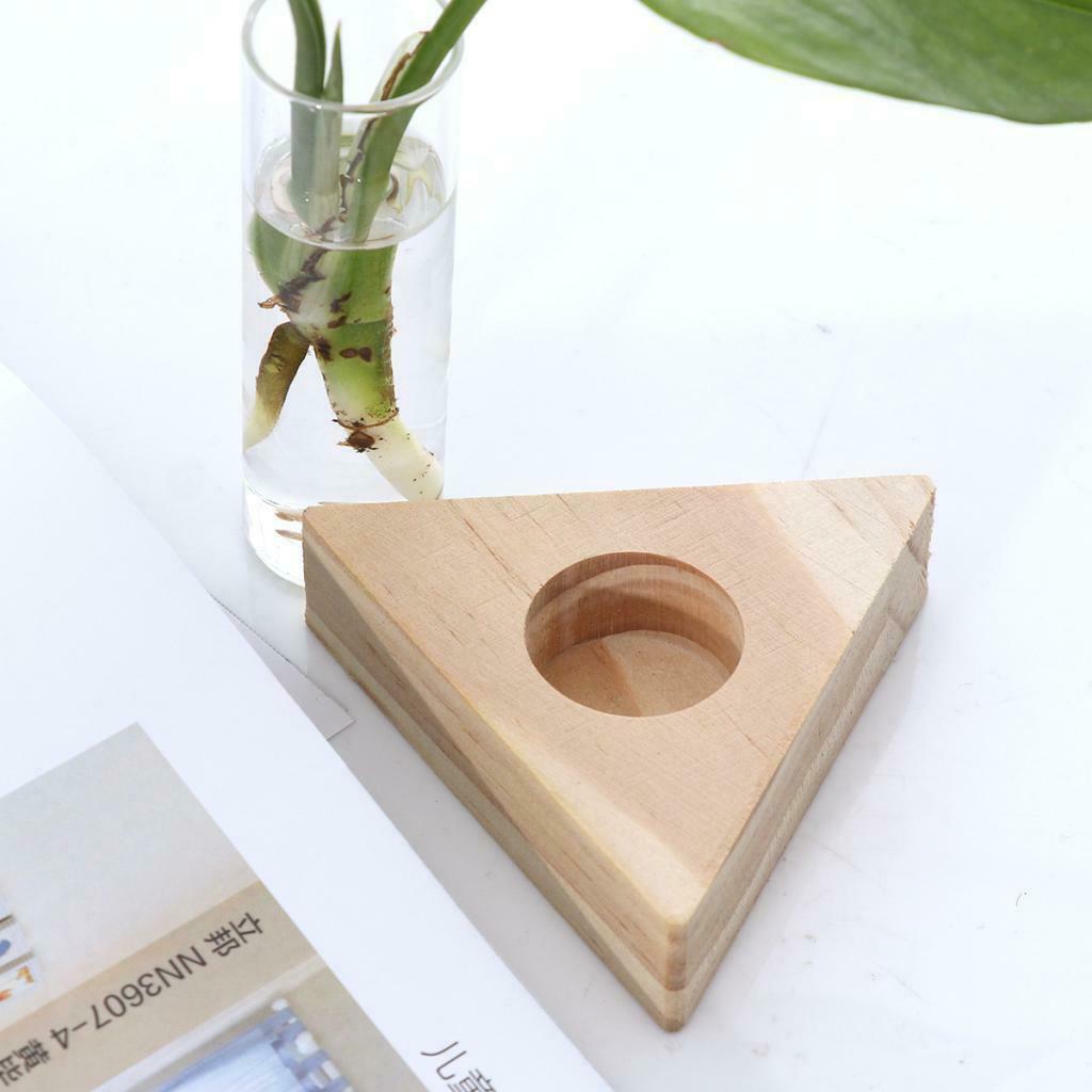 2pcs Glass Test Tube Vase In Wooden Stand For Hydroponic Plants DIY Planting
