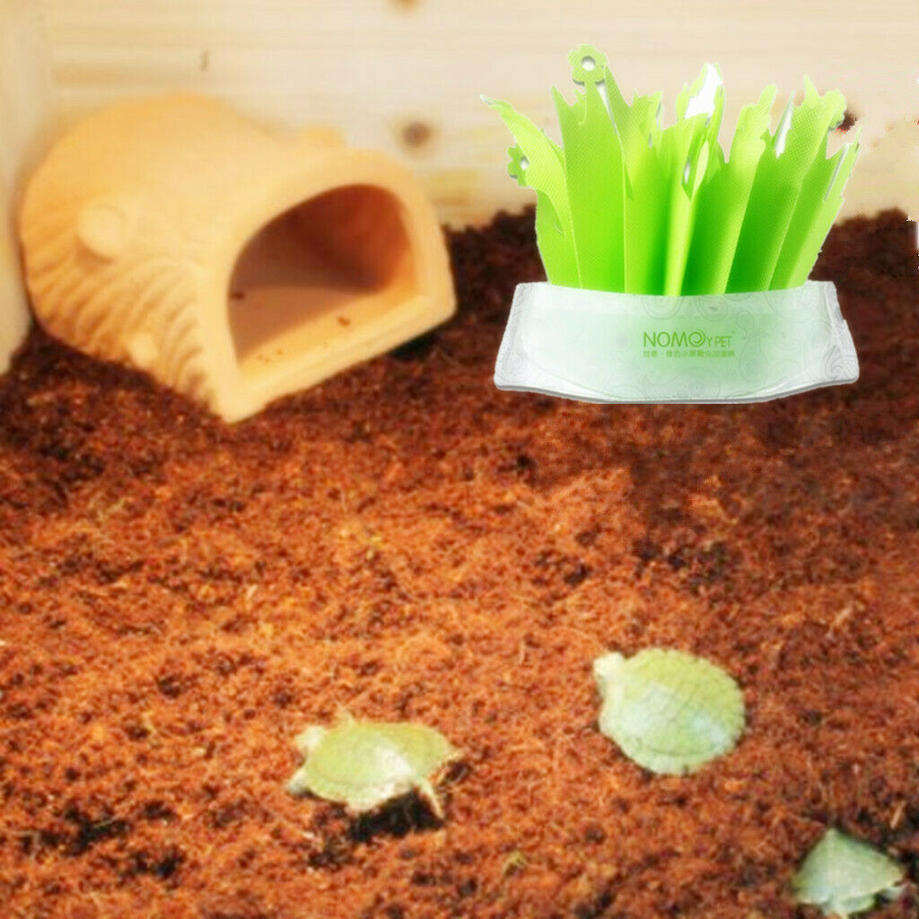 Reptile Vivarium Decoration Tortoise  Breading Hide Air Humidifier
