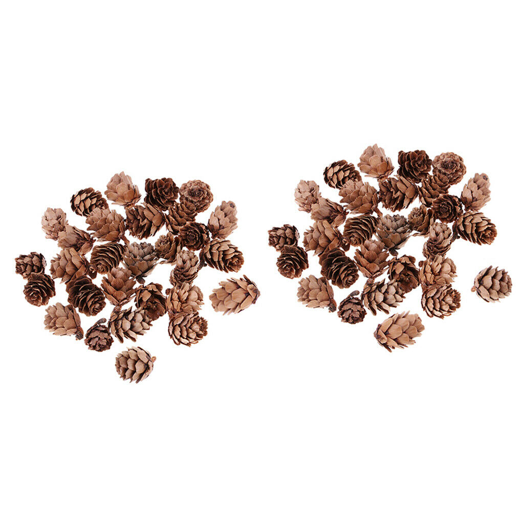 60pcs Pine Cones Premium Pinecones Wreath Garland DIY Embellishments Decors