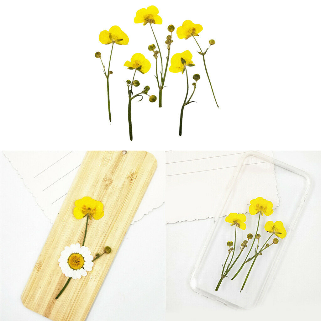 16x Real Dried Flowers Leaves Bookmark Jewelry Soap Making Wedding Nail Art