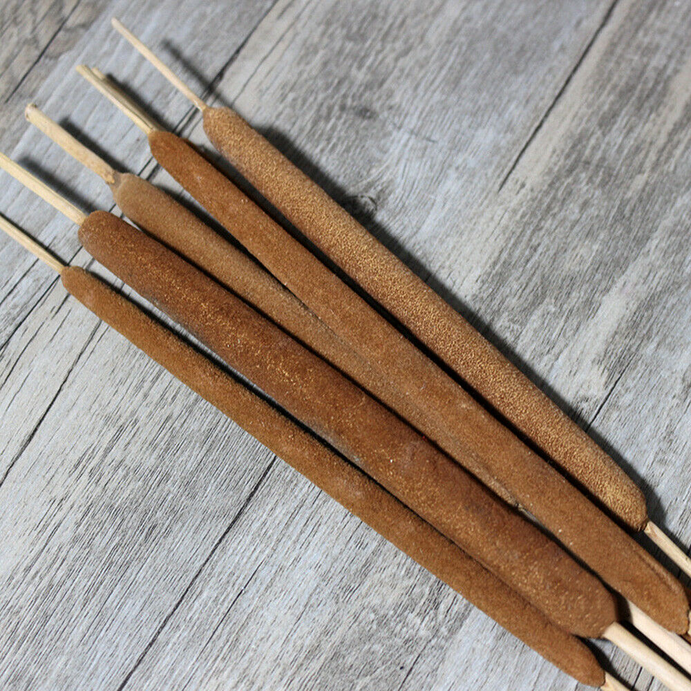 5Pcs Dried Flower Cattails Spike Po Stick Home Wedding Arrangement Floral Decor