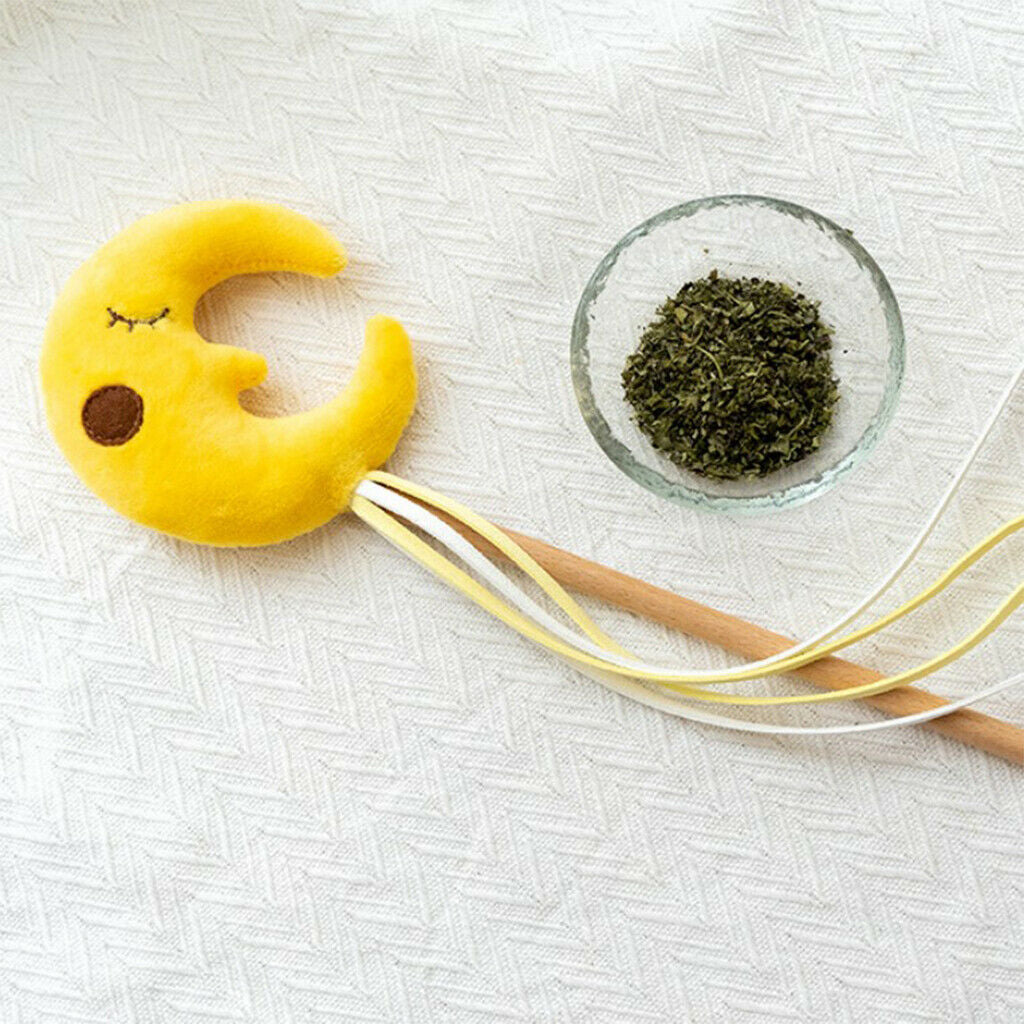 Cat Stick Toys Kitten Pet Interactive Wand Starry Sky Ribbon String Toys Moon