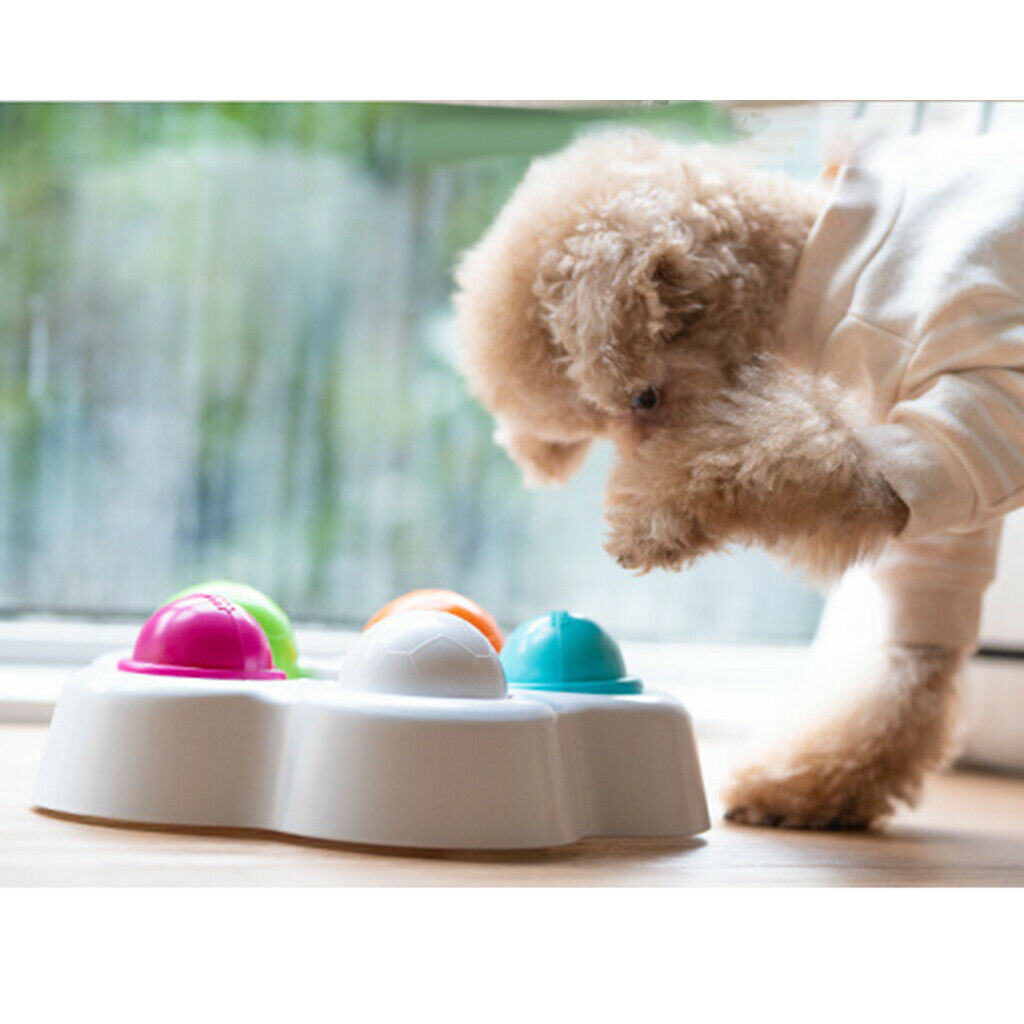Slow Feeder Dog Bowl Healthy Design Bowl Helps Stop Bloat Prevents Obesity