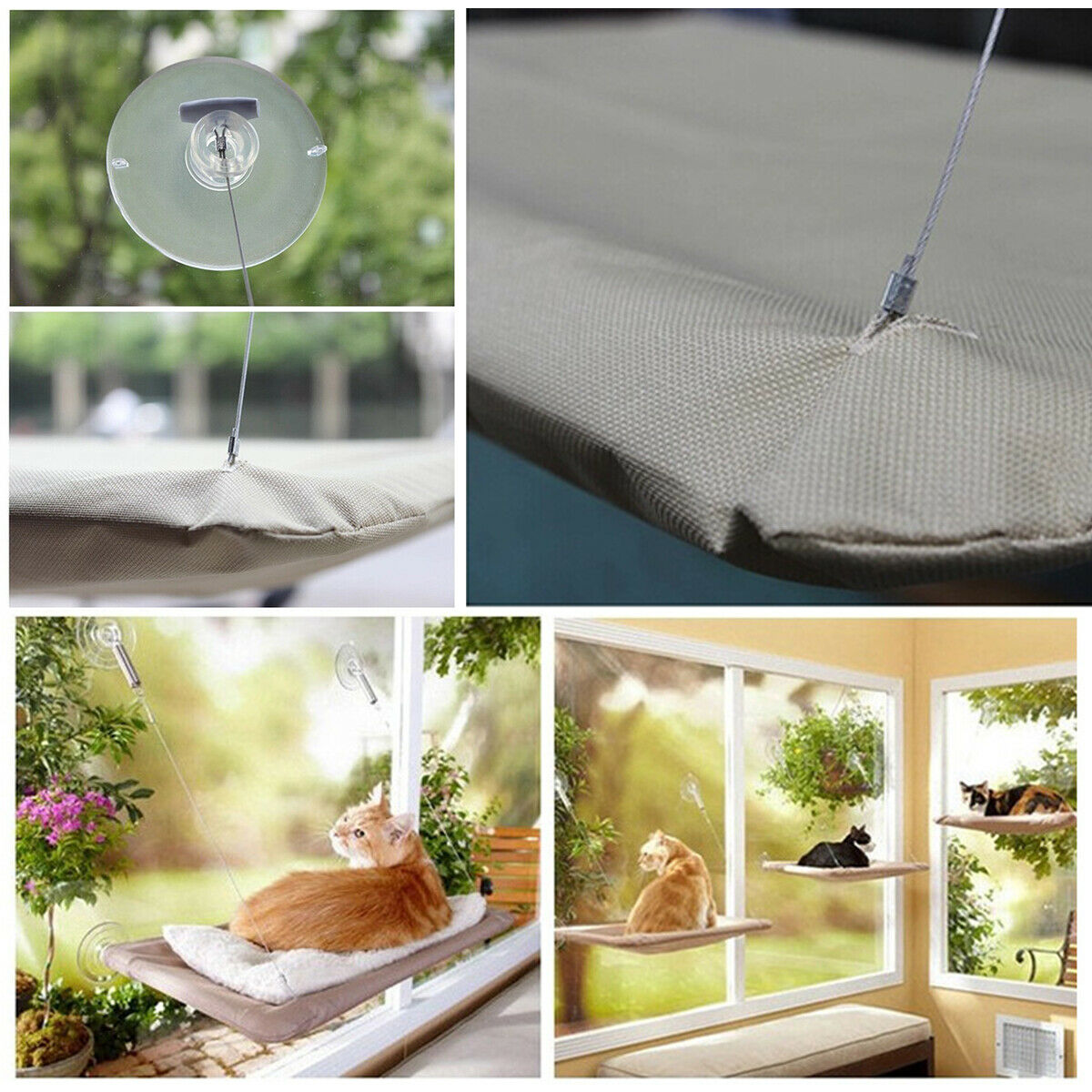 US Cat Puppy Window Mounted Basking Bed Pet Shelf Kitten Perch Seat High Hammock