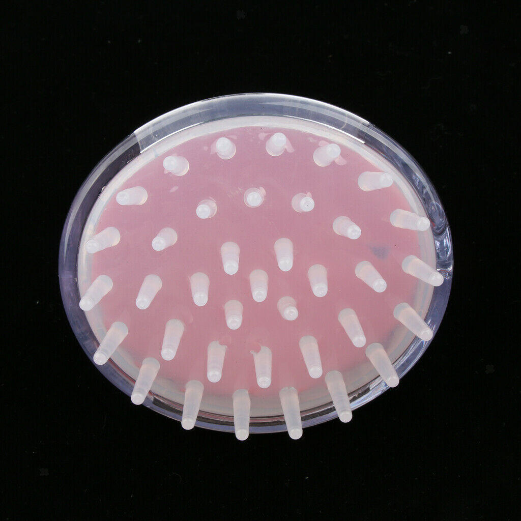 2 Pieces Round Scalp Massager Brush Brush Growth Head Shampoo