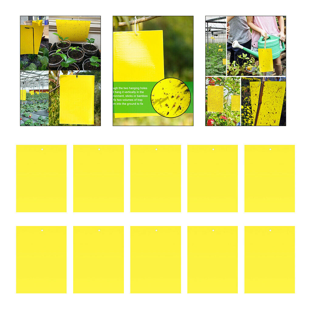 Sticky Gnat Traps for Flying Plant Insect Whiteflies Aphids 10pcs