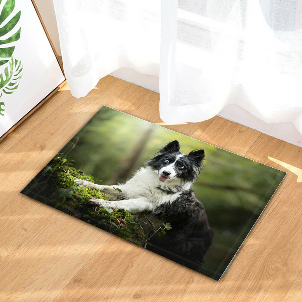 Dogs Border Collie Glance Moss Bathroom Mat Non Slip Door Floor Mats Rug Carpet