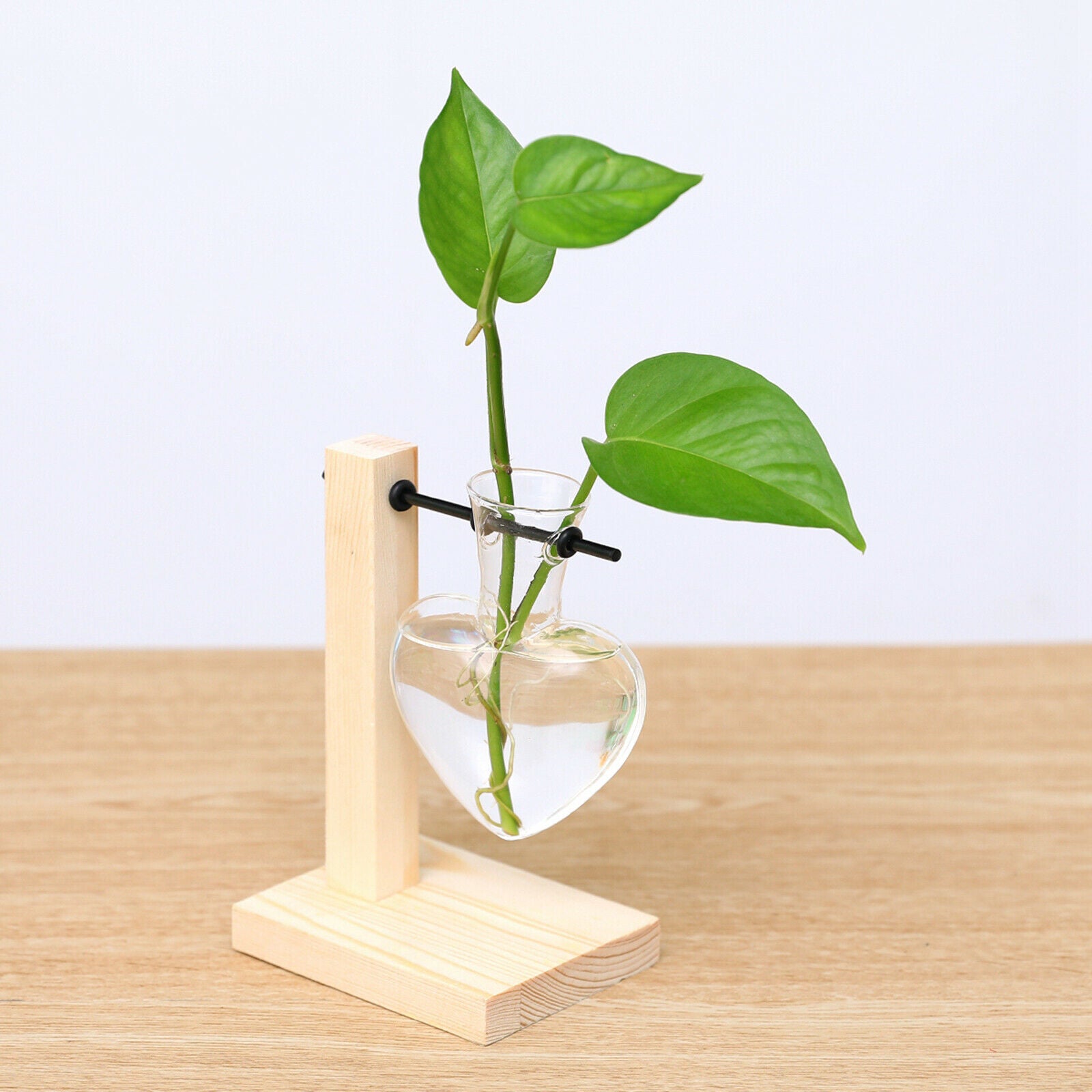 Glass Vase with Wooden Stand Frame for Hydroponics Plants Desktop