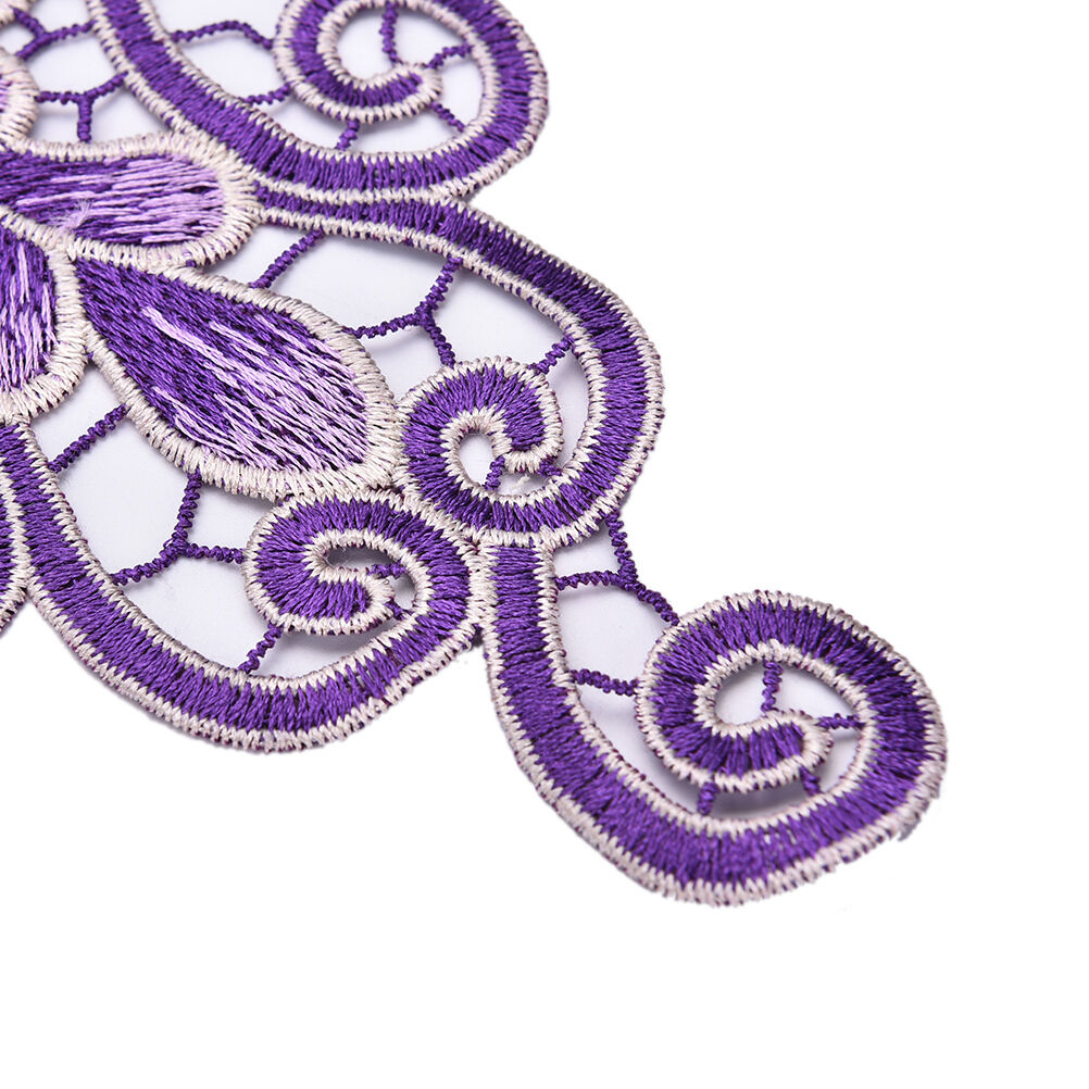 1PC Embroidered Floral Lace Neckline Neck* Collar Trim Clothes Sewing AppliqYUDD